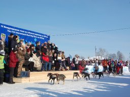 Koiravaljakkokisat 